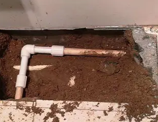 彭水测漏水哪家好