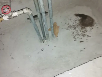 彭水卫生间测漏水价格明细