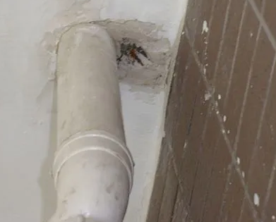 彭水漏水检测哪家好